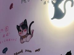 -三花喵·撸猫购宠·宠物生活馆(虹桥南丰城店)