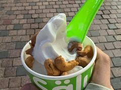 -Salud撒露欧洲冻酸奶(蓝色港湾店)