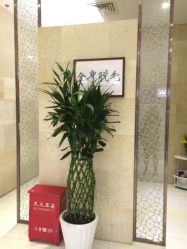 -银座Calla日式美容沙龙