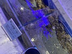 -澜悦港海鲜体验主题餐厅