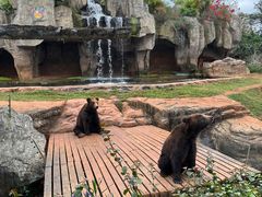 -海南热带野生动植物园