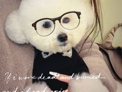 -樱の千渡日式料理·铁板烧•烧鸟(金盛田广场店)