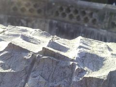 android_upload_pic-习家池