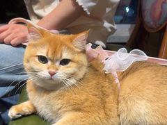 -草原塞蛮羊火锅城(港湾店)