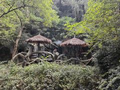 -宁波野生动物园