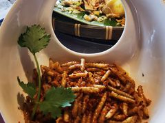 -园林美食城·本土农家菜(杨和镇店)