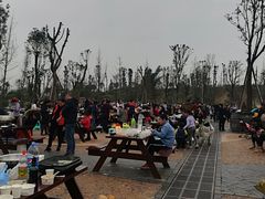 -枫香湖儿童公园