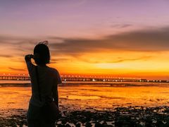 -宝安西湾红树林湿地公园