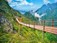 -武陵山森林公园