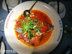 -坛宗剁椒鱼头(河西王府井店)