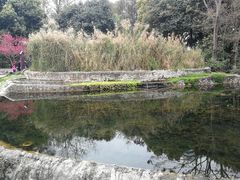 -成都市活水公园