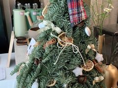 -春树下·树屋花房西餐厅(罍街AS1980店)