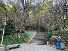-晓港公园