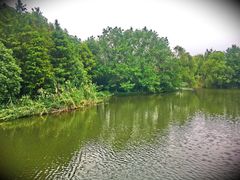-新江湾城公园