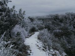 -王顺山国家森林公园