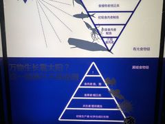 -同济大学四平路校区深海探索馆