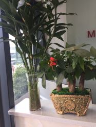 -缪斯造型Muse style