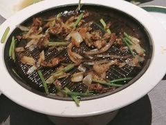 -秀儿四九城·新京菜(亚运村鸟巢店)