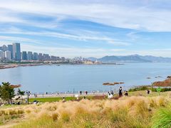 -小麦岛公园