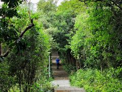 -小南山公园