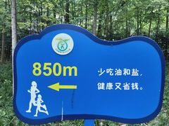 -西安市长乐公园