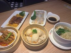 -南枝记