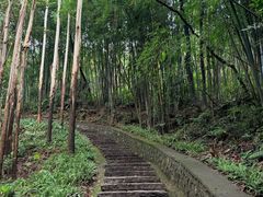 -黄埔油麻山森林公园