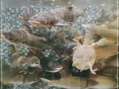 -顺德一品粥·20年凤城老字号(芳村店)