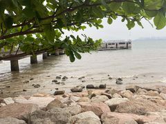 -深圳湾公园(南山区)