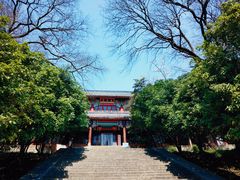 -灵谷景区