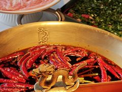 -小龙翻大江文化火锅(宽窄店)