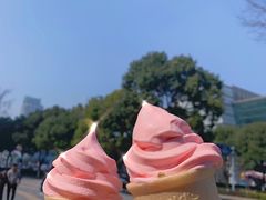 -麦当劳(塔园路店)