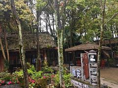 -土砂锅生态山庄·非遗砂锅雅鱼
