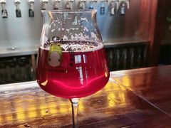 -麦落精酿啤酒餐吧(先农大院店)