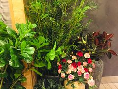 -唐沫茶兮(仓山万达金街店)