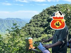 -大岭沟猕猴桃谷风景区
