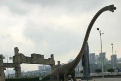 -恐龙探索乐园(磁器口店)