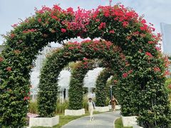 -旧雨咖啡·CoffeeFORU(黄村奥体店)