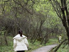 -叠溪松坪沟景区