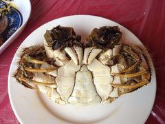 大閘蟹-小陆莲花蟹园农家乐(莲花岛店)