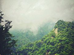 -牛背梁国家森林公园