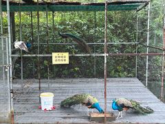 -福建鲤鱼洲酒店