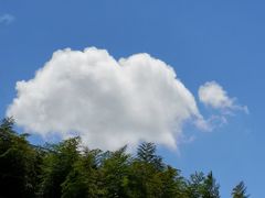-藏龙百瀑漂流