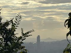 -杭州半山国家森林公园