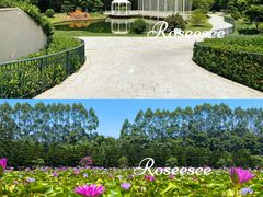 -迪茵湖田家舍生态农场