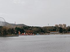 -南山公园