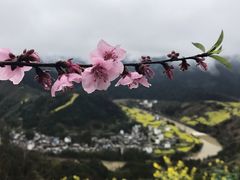 -石潭村