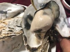 -罗源湾8号渔排