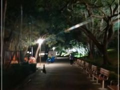 -纪念孙中山市政公园