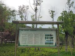 -沐仙湖湿地公园